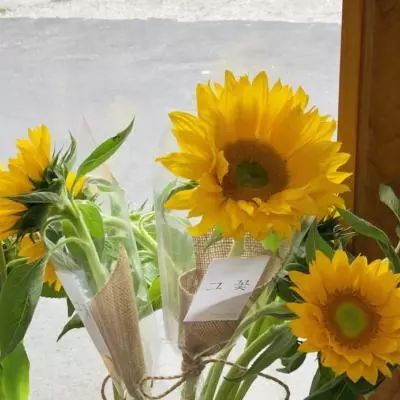 BB贝博平台登录app